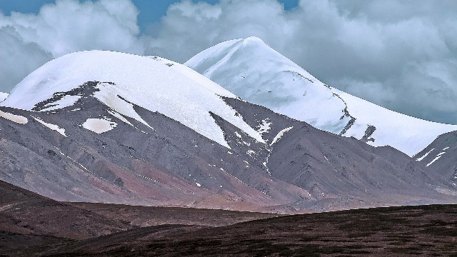 拼多多补单软件