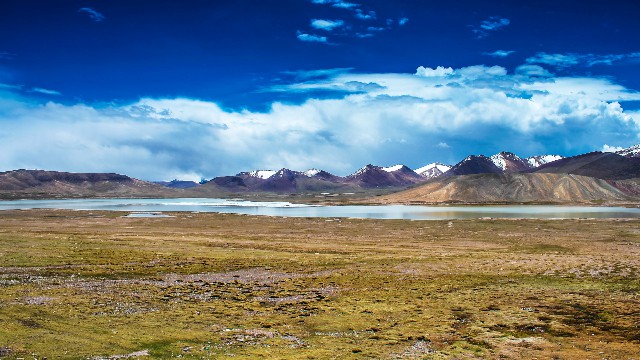 拼多多补单软件