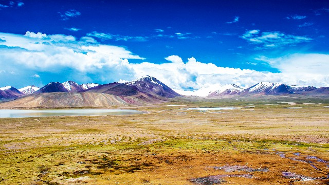 拼多多补单软件