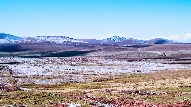 拼多多补单软件