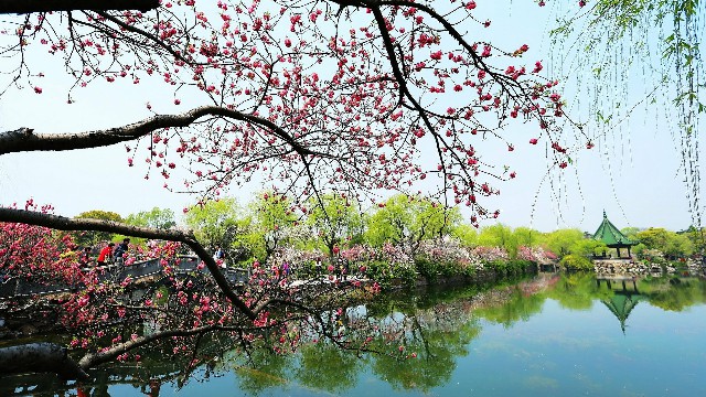 拼多多补单软件