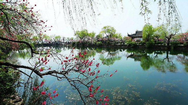 拼多多补单软件