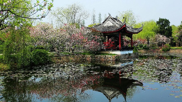 拼多多补单软件