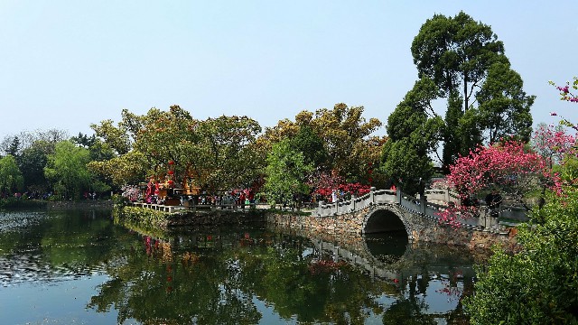 拼多多补单软件