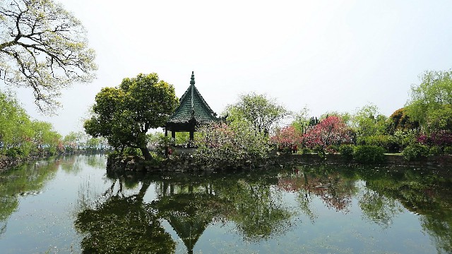 拼多多补单软件