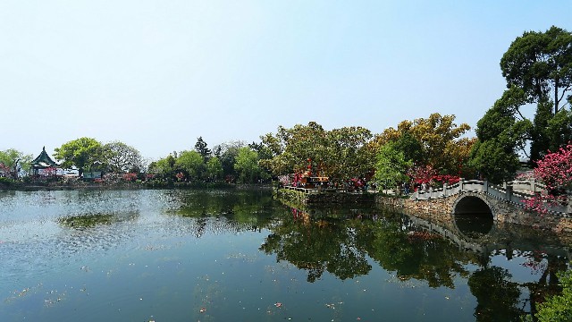 拼多多补单软件