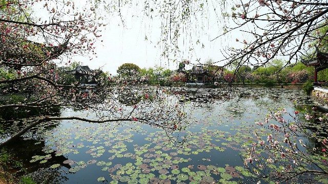 拼多多补单软件