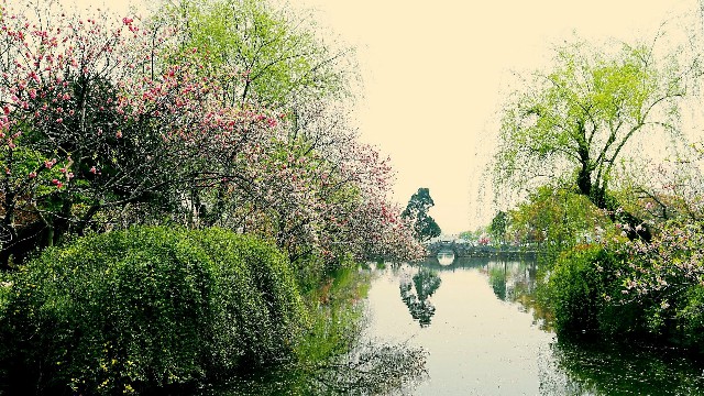 拼多多补单软件