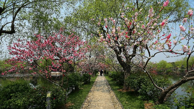 拼多多补单软件