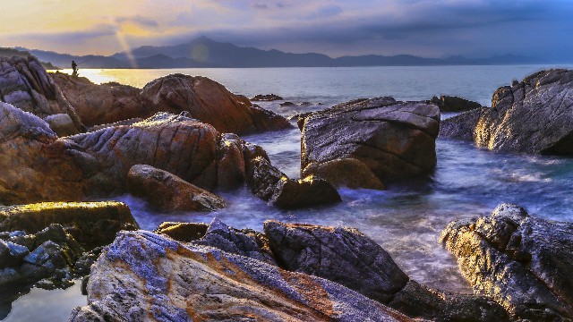 拼多多补单软件