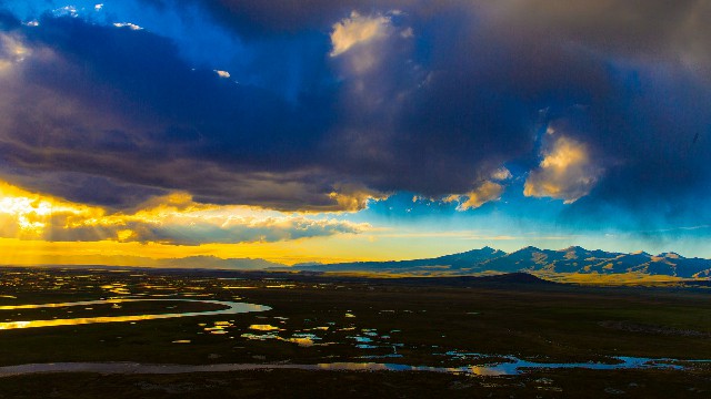 拼多多补单软件