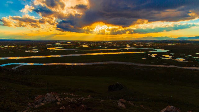 拼多多补单软件