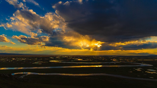 拼多多补单软件