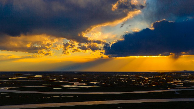 拼多多补单软件