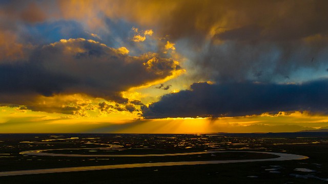 拼多多补单软件