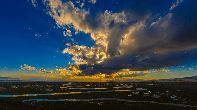 拼多多补单软件