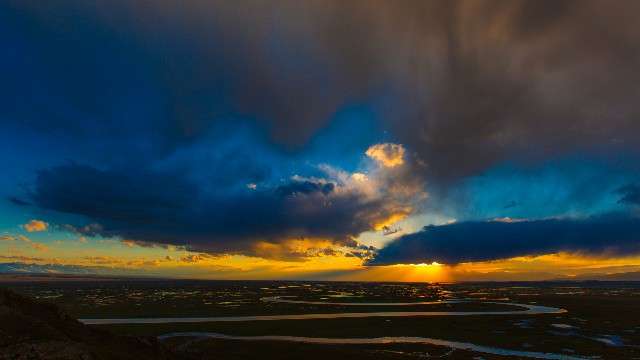 拼多多补单软件