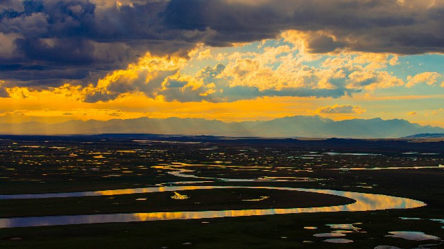 拼多多补单软件