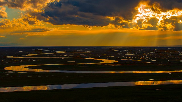 拼多多补单软件