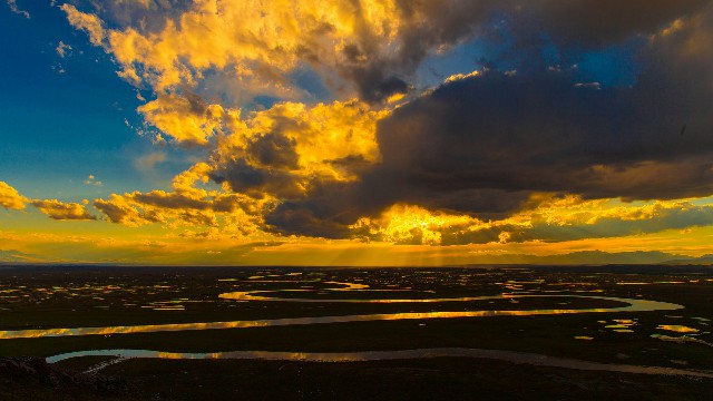 拼多多补单软件