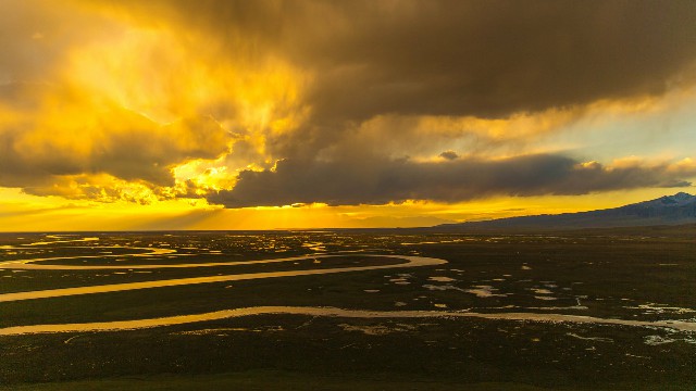 拼多多补单软件