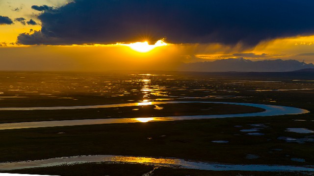 拼多多补单软件
