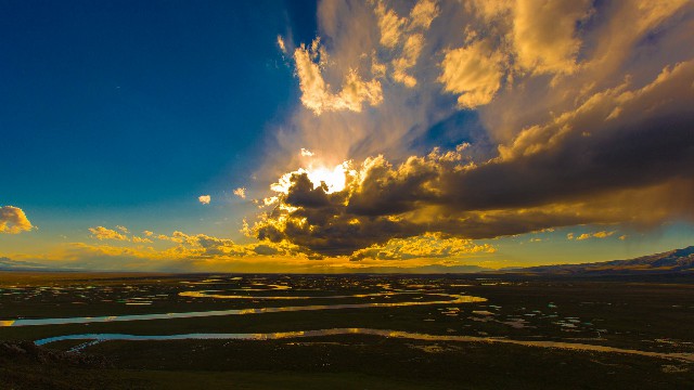 拼多多补单软件