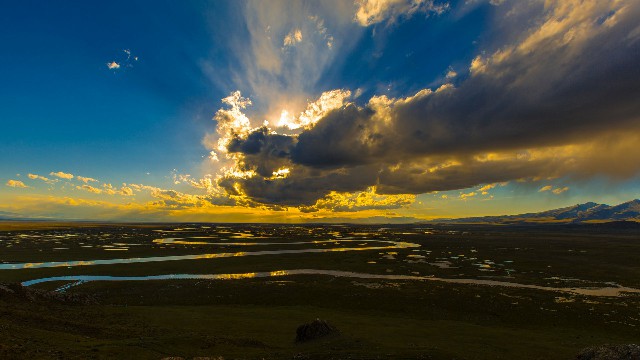 拼多多补单软件