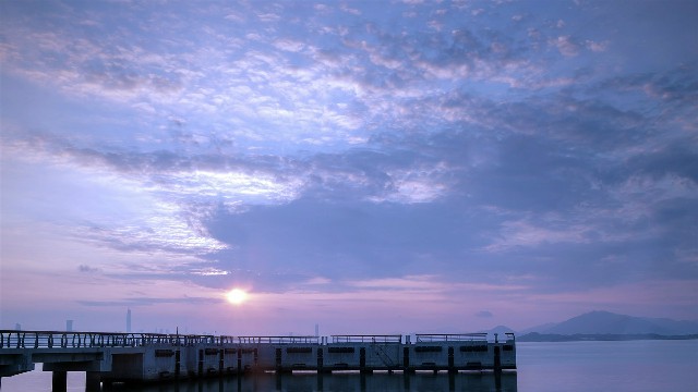 拼多多补单软件