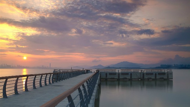 拼多多补单软件