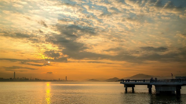 拼多多补单软件