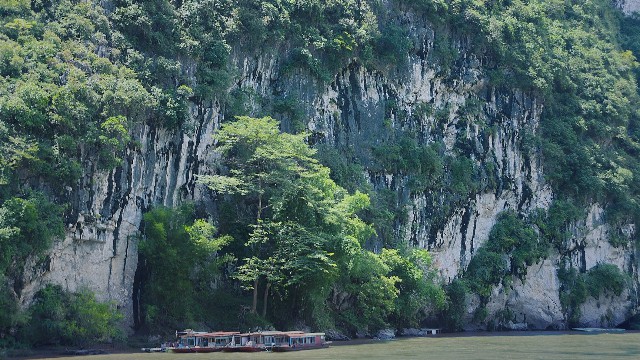拼多多补单软件