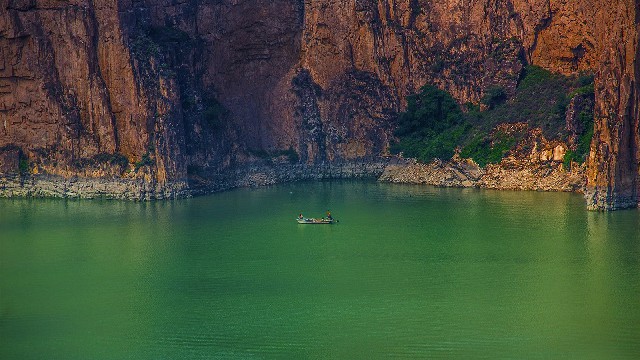 拼多多补单软件