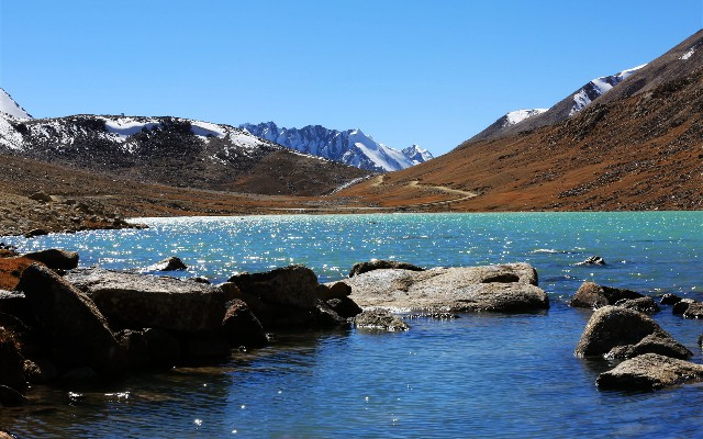 拼多多补单软件