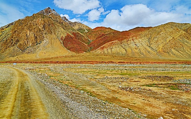 拼多多补单软件