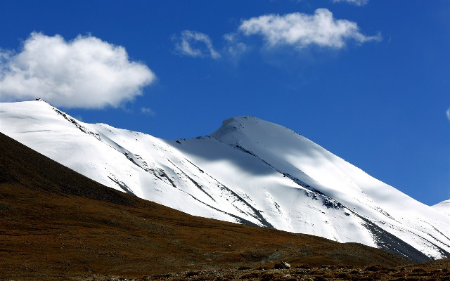 拼多多补单软件