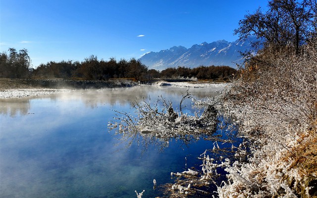 拼多多补单软件