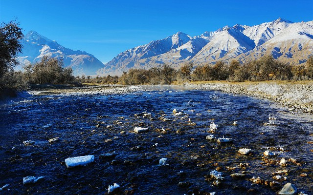 拼多多补单软件