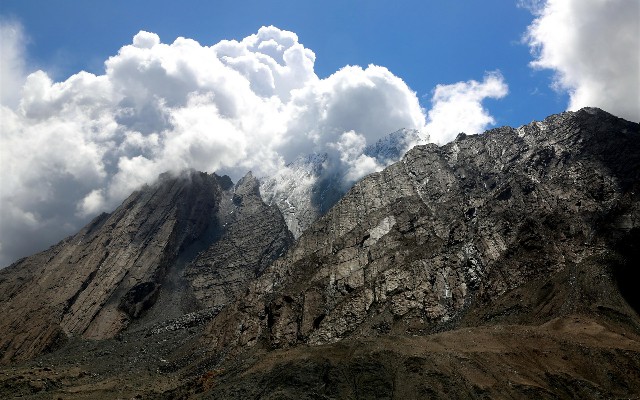 拼多多补单软件