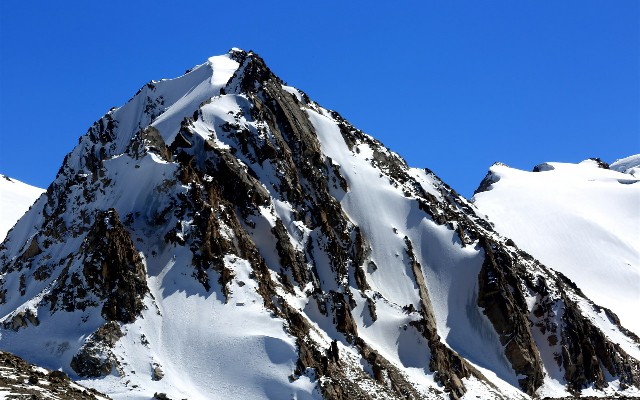 拼多多补单软件