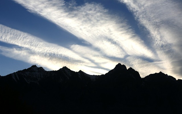 拼多多补单软件