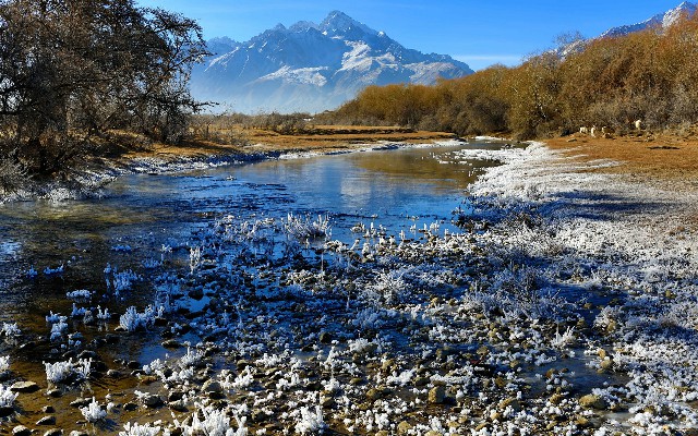 拼多多补单软件