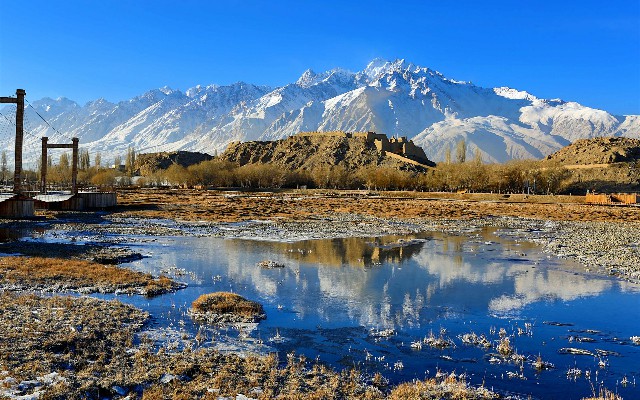 拼多多补单软件