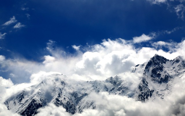 拼多多补单软件