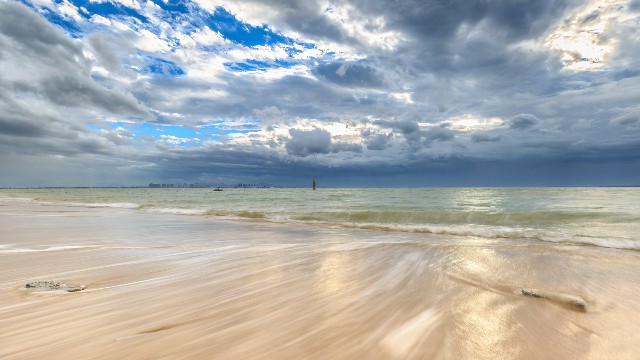 拼多多补单软件