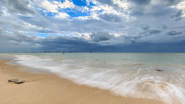 拼多多补单软件