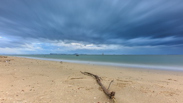拼多多补单软件