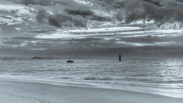 拼多多补单软件