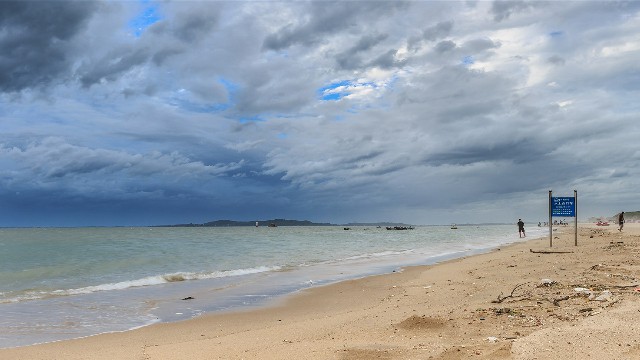 拼多多补单软件