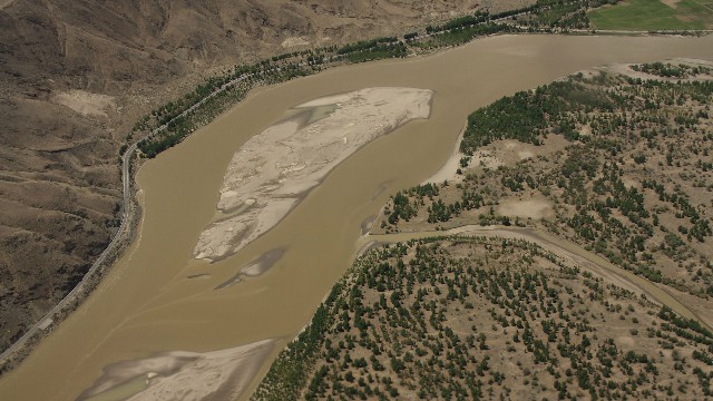 拼多多补单软件